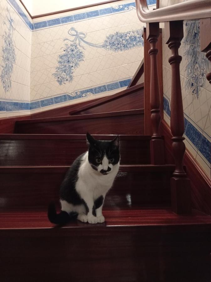 A Casa Da Ti Laura 2 Ξενοδοχείο Αβέιρο Εξωτερικό φωτογραφία